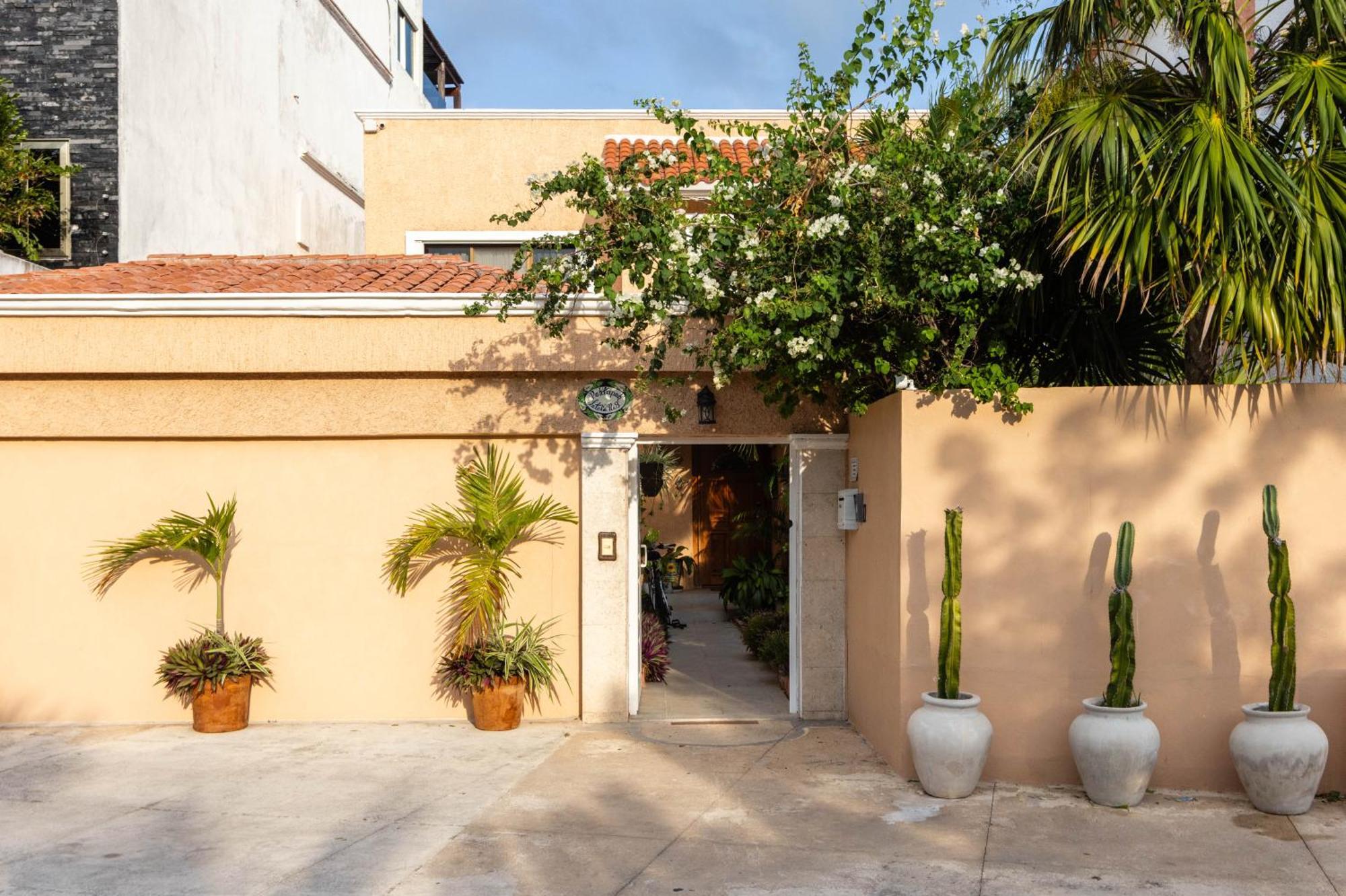 Magnifica Villa Palmeras Pok Ta Pok Zona Hotelera Cancún Eksteriør billede